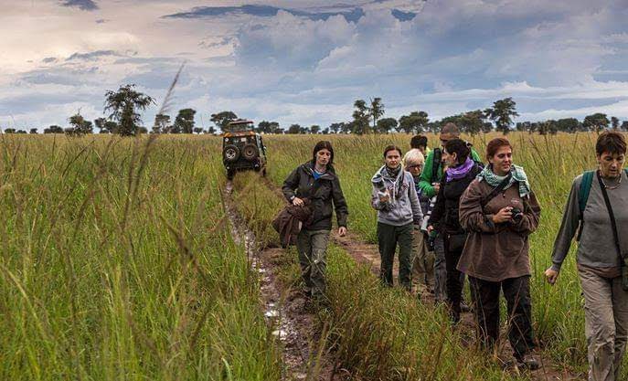 wildlife safari