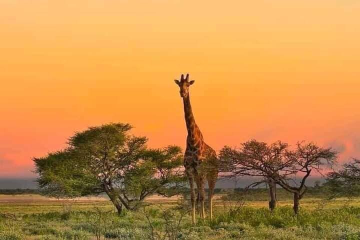 uganda safari packages