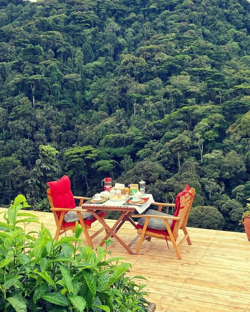 uganda safari packages
