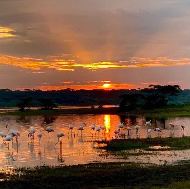 wildlife trip